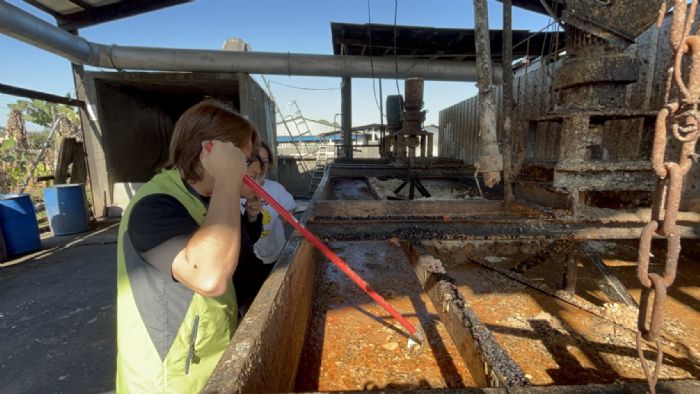 屏東長治再查獲廚餘餵豬違規案
